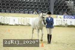 24R13_20207 thumbnail