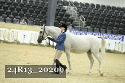 24R13_20209 thumbnail
