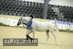 24R13_20210 thumbnail
