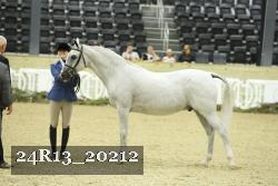 24R13_20212 thumbnail