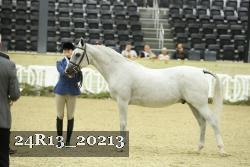 24R13_20213 thumbnail