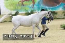 24R13_20214 thumbnail