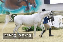 24R13_20215 thumbnail