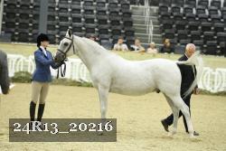 24R13_20216 thumbnail