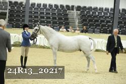 24R13_20217 thumbnail