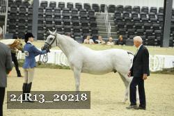 24R13_20218 thumbnail