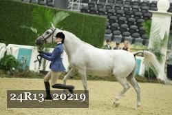 24R13_20219 thumbnail