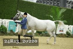 24R13_20220 thumbnail