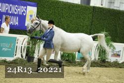 24R13_20221 thumbnail