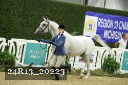 24R13_20223 thumbnail