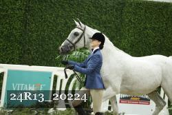 24R13_20224 thumbnail