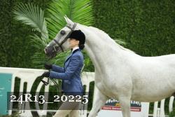 24R13_20225 thumbnail