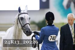 24R13_20226 thumbnail