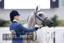24R13_20227 thumbnail