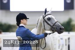 24R13_20228 thumbnail