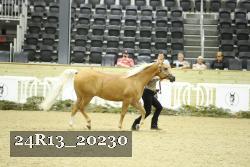 24R13_20230 thumbnail