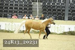 24R13_20231 thumbnail