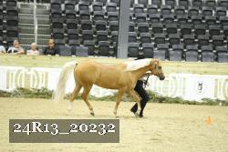 24R13_20232 thumbnail