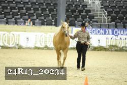 24R13_20234 thumbnail