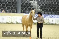 24R13_20236 thumbnail