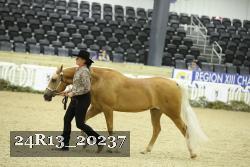 24R13_20237 thumbnail
