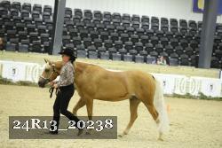 24R13_20238 thumbnail