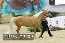 24R13_20239 thumbnail