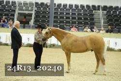 24R13_20240 thumbnail