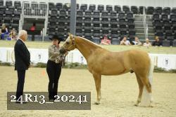 24R13_20241 thumbnail