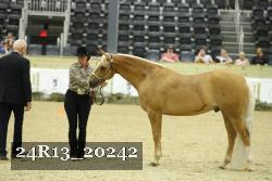 24R13_20242 thumbnail