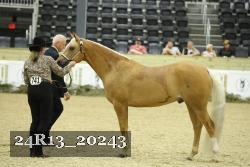 24R13_20243 thumbnail
