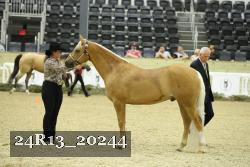 24R13_20244 thumbnail