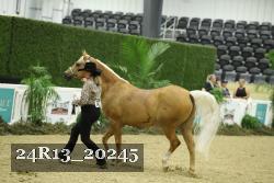 24R13_20245 thumbnail