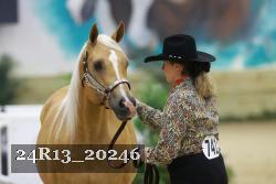 24R13_20246 thumbnail