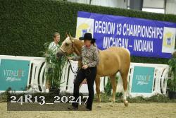 24R13_20247 thumbnail