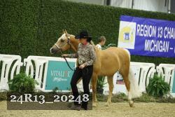 24R13_20248 thumbnail