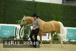 24R13_20249 thumbnail