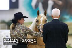 24R13_20251 thumbnail