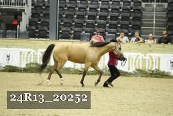 24R13_20252 thumbnail