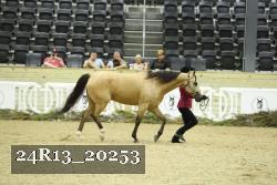 24R13_20253 thumbnail