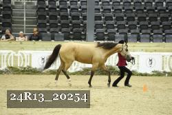 24R13_20254 thumbnail