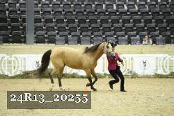 24R13_20255 thumbnail