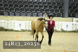 24R13_20256 thumbnail