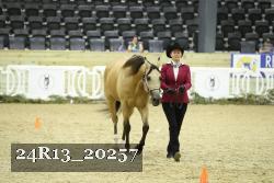 24R13_20257 thumbnail