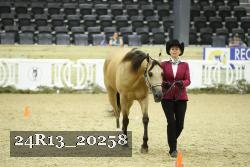 24R13_20258 thumbnail