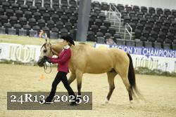 24R13_20259 thumbnail