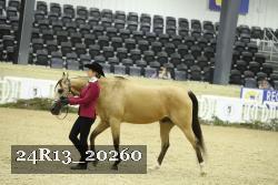 24R13_20260 thumbnail