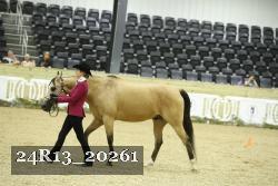24R13_20261 thumbnail