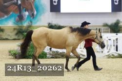 24R13_20262 thumbnail