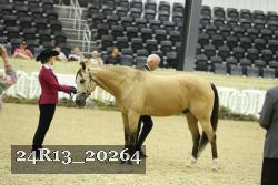 24R13_20264 thumbnail